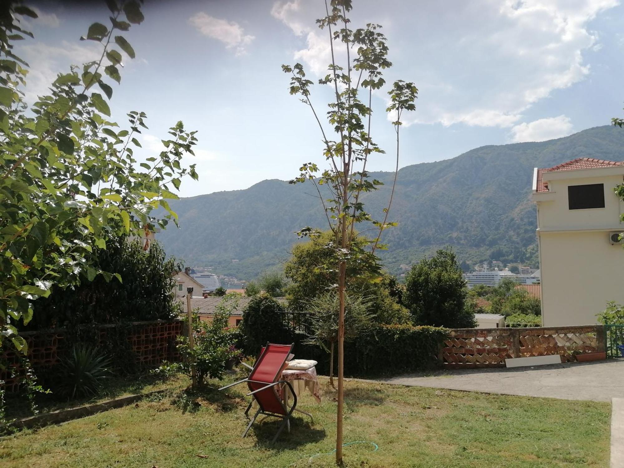 Apartments Zeljka-Dobrota Kotor Eksteriør bilde