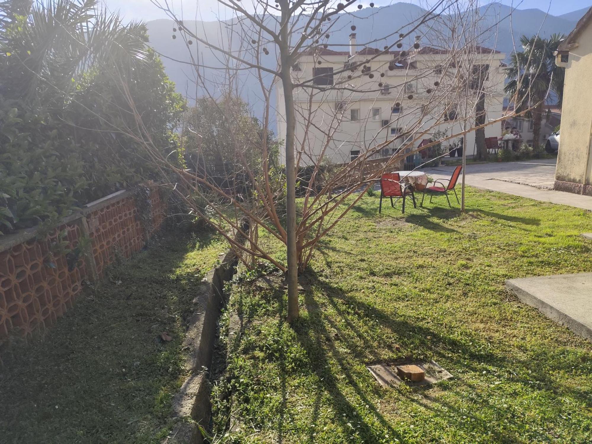 Apartments Zeljka-Dobrota Kotor Eksteriør bilde